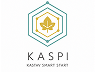 kaspi logo (1)